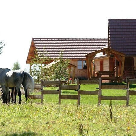 Le Hameau Des Grilles Villa Saint-Fargeau  Luaran gambar