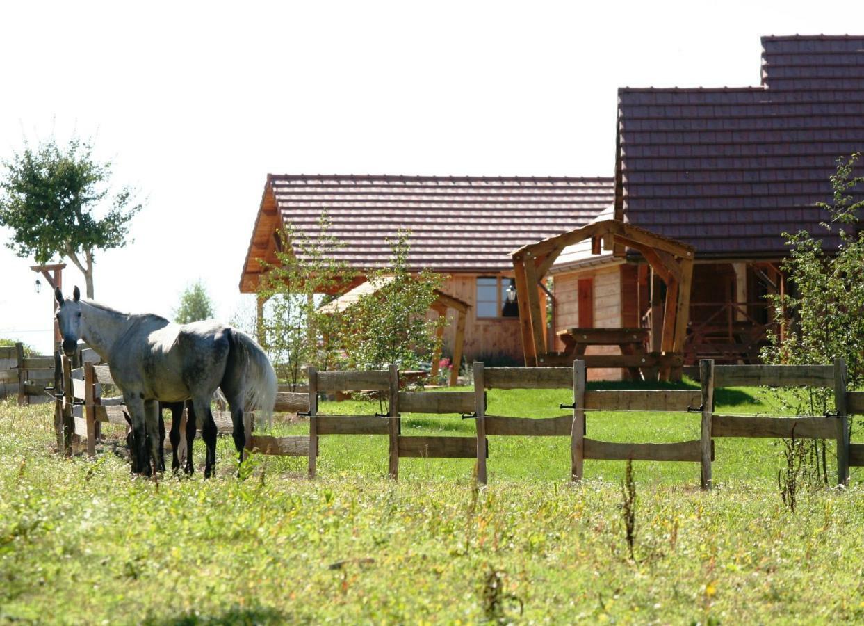 Le Hameau Des Grilles Villa Saint-Fargeau  Luaran gambar